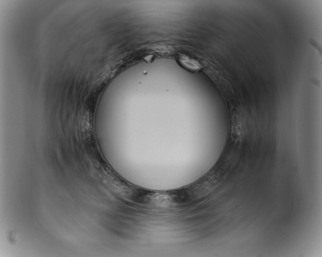 X0000100490518200806271240