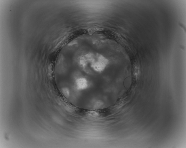 X0000100490519200806271240