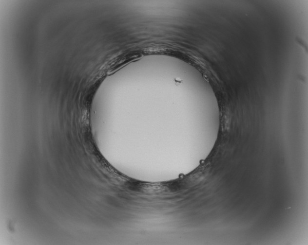 X0000100490521200806271239