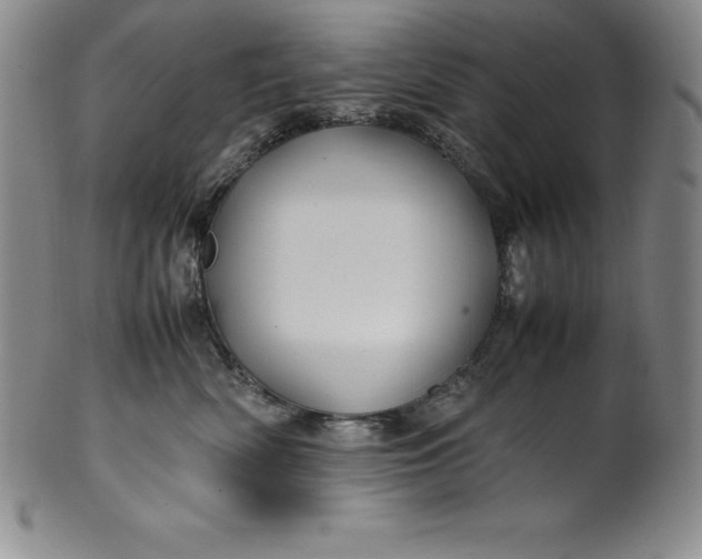 X0000100490522200806271239