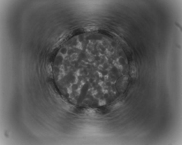 X0000100490523200806271239