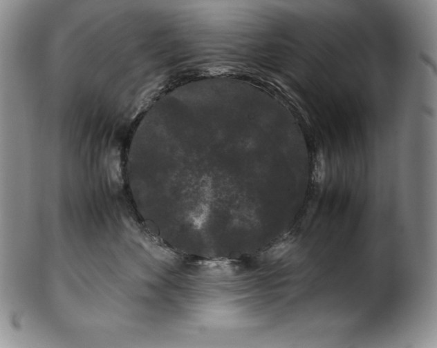 X0000100490524200806271239