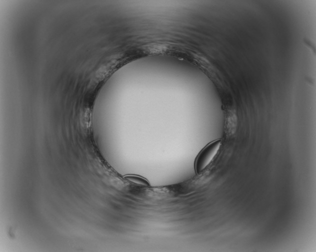 X0000100490525200806271239