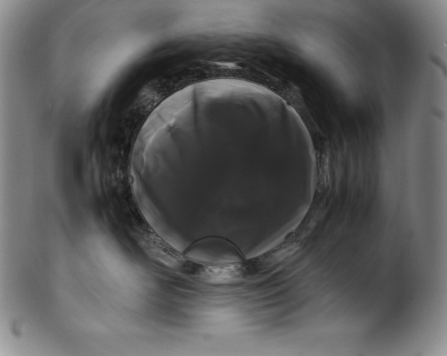 X0000100490526200806271239