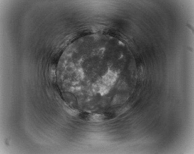 X0000100490527200806271239