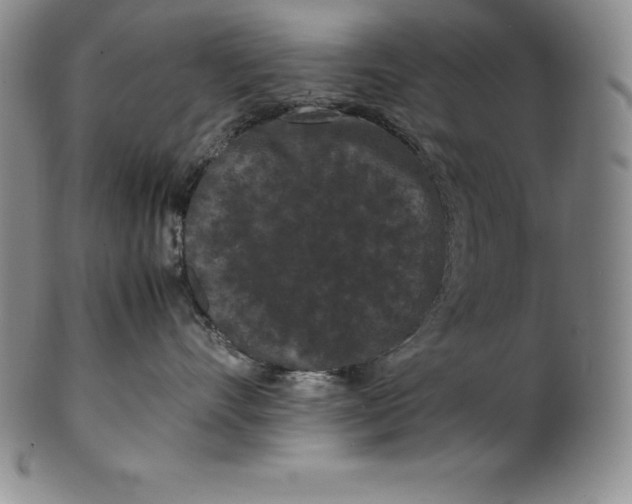 X0000100490528200806271239