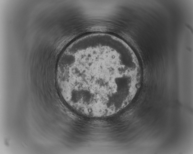 X0000100490529200806271239