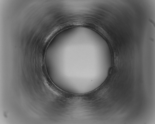 X0000100490530200806271239