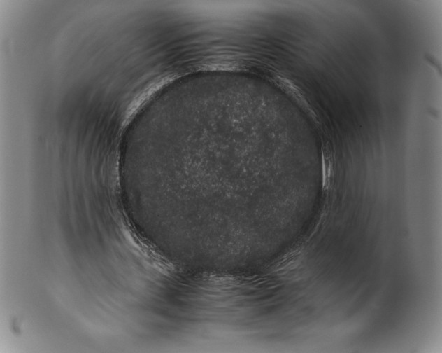 X0000100490531200806271239