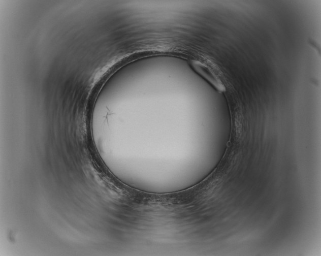 X0000100490532200806271239