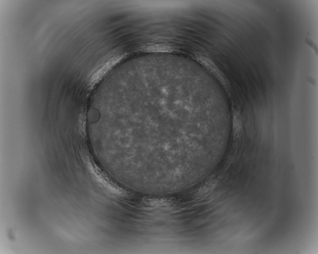 X0000100490533200806271239