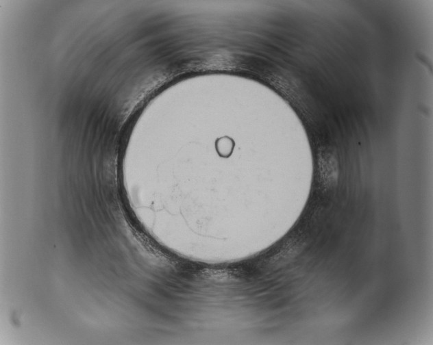 X0000100490534200806271239