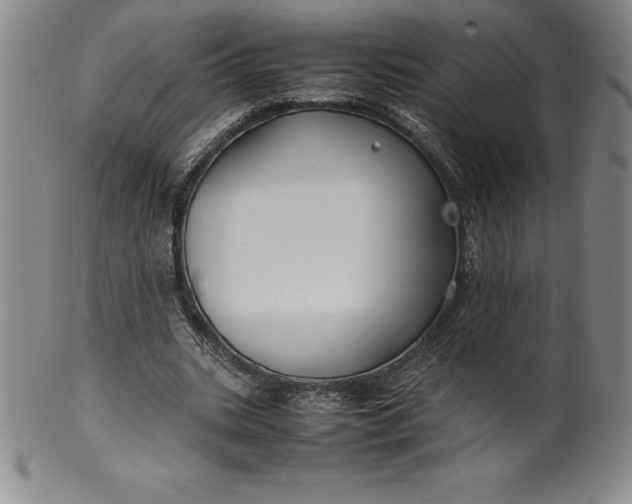 X0000100490535200806271239