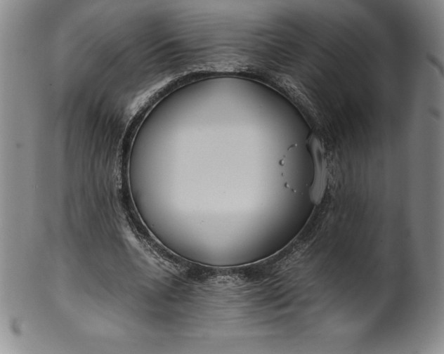 X0000100490536200806271239