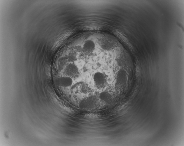 X0000100490537200806271239