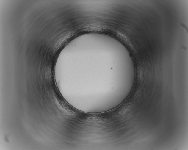 X0000100490538200806271239