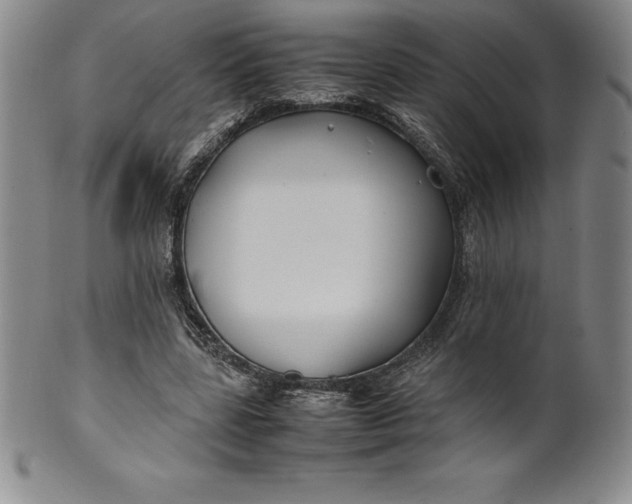 X0000100490539200806271239