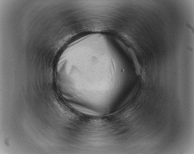 X0000100490540200806271239