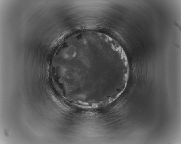 X0000100490542200806271239