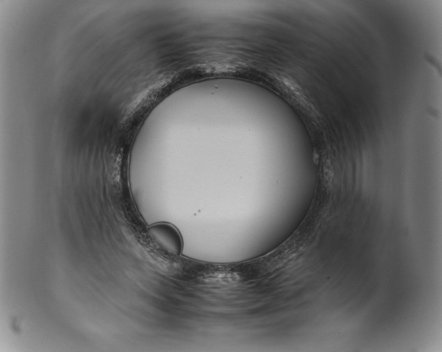 X0000100490543200806271239