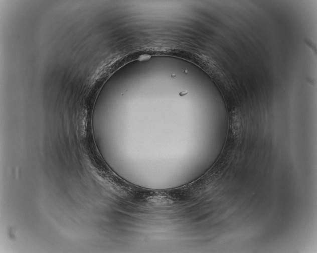 X0000100490544200806271239