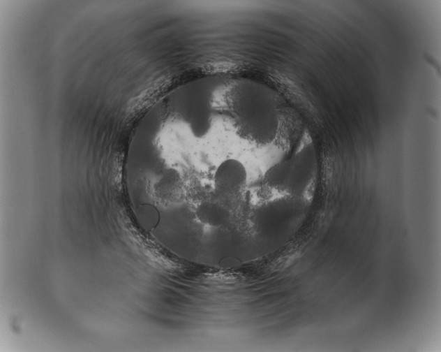 X0000100490545200806271239