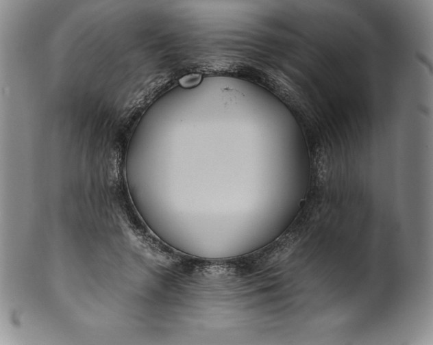 X0000100490546200806271239