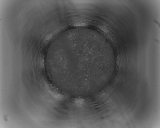 X0000100490547200806271239