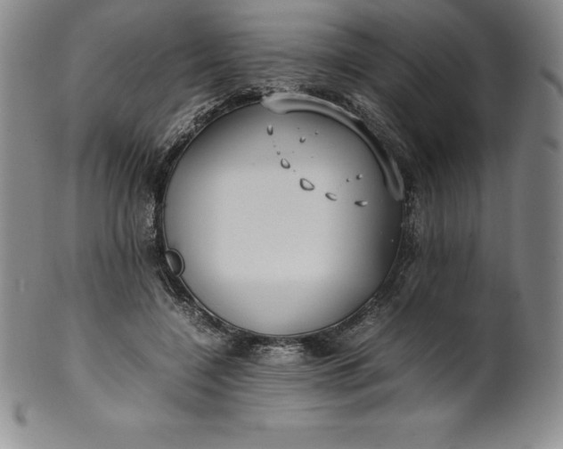 X0000100490548200806271239