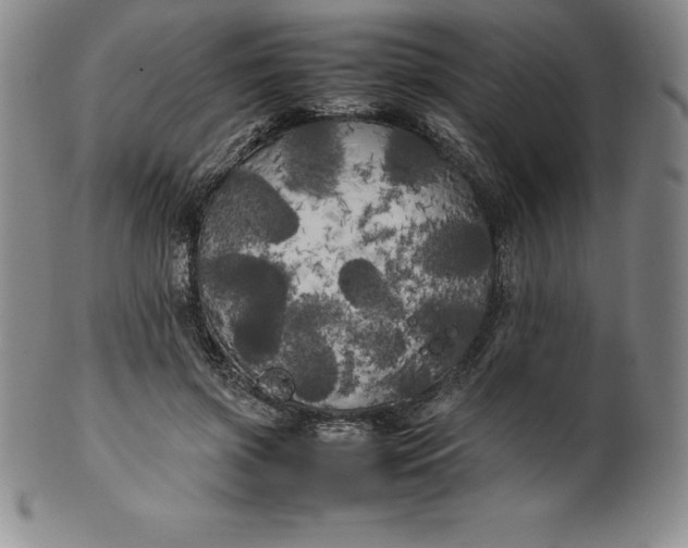 X0000100490549200806271239