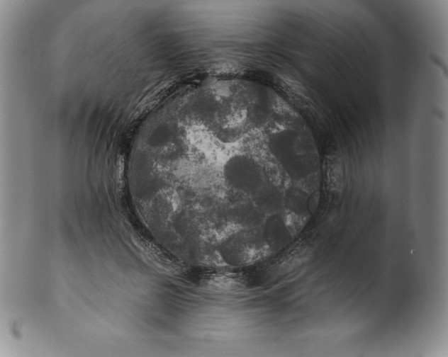 X0000100490550200806271239