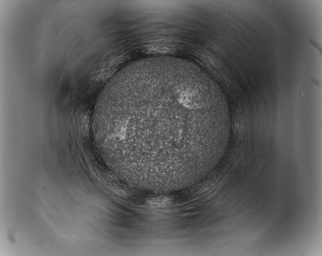 X0000100490551200806271239