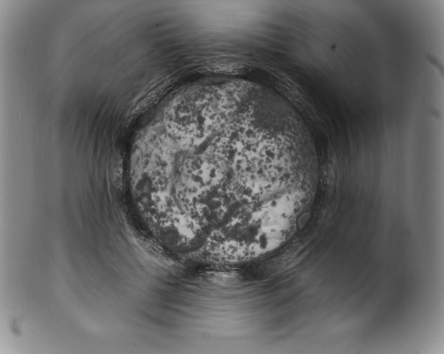 X0000100490552200806271239