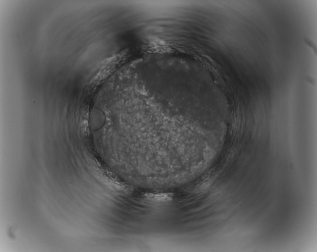 X0000100490553200806271239