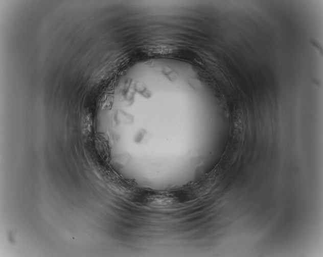 X0000100490555200806271239