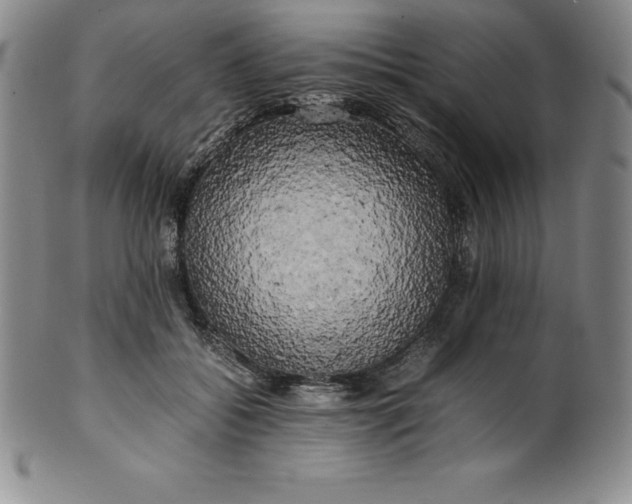 X0000100490556200806271239