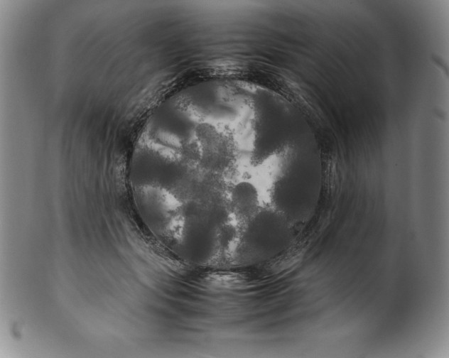 X0000100490557200806271239