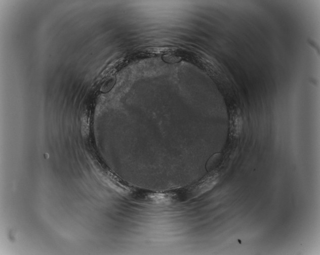 X0000100490558200806271239