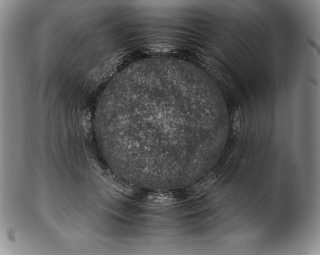 X0000100490559200806271239