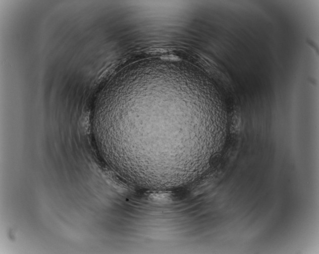 X0000100490560200806271239