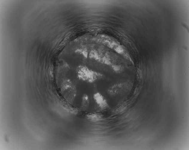 X0000100490561200806271239