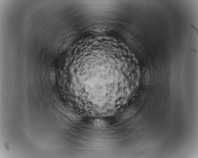 X0000100490562200806271239