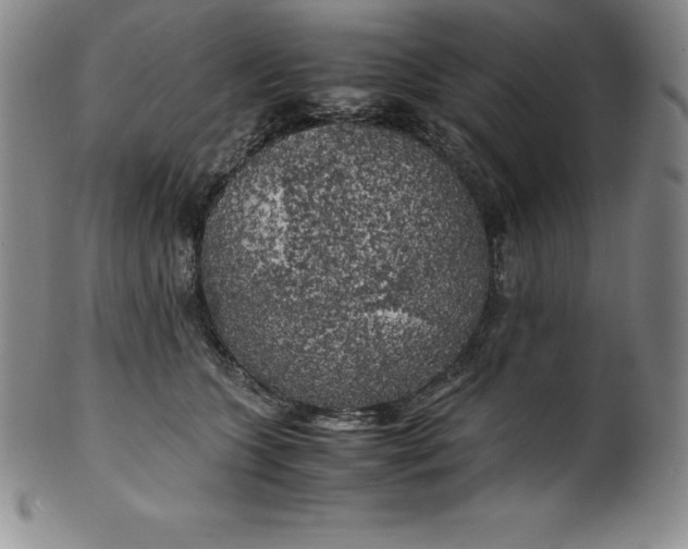 X0000100490563200806271239