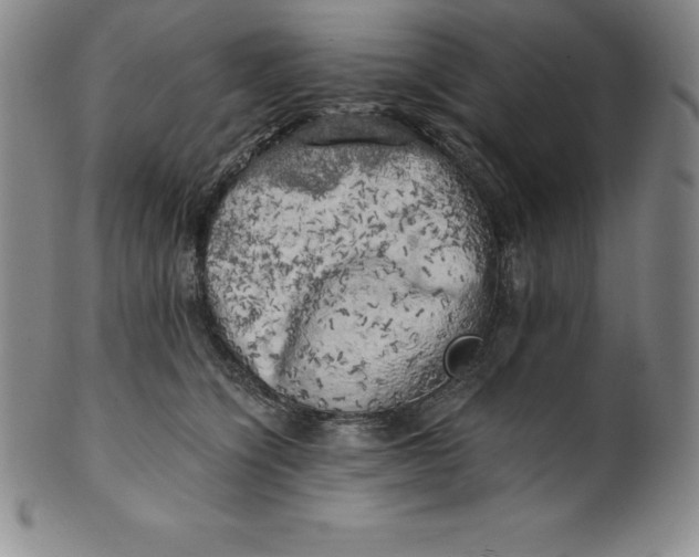 X0000100490564200806271239