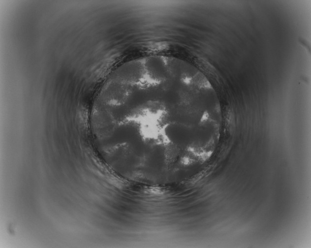 X0000100490565200806271239