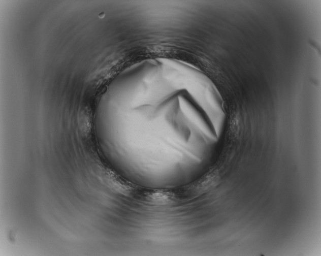 X0000100490566200806271239