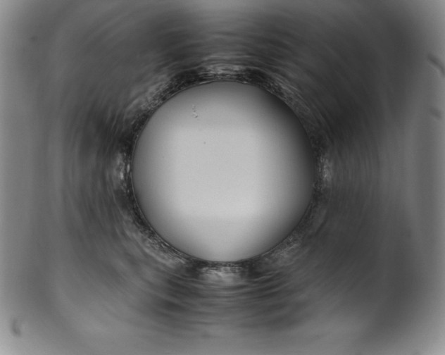 X0000100490567200806271239