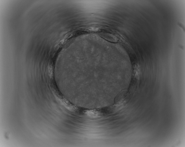 X0000100490568200806271239