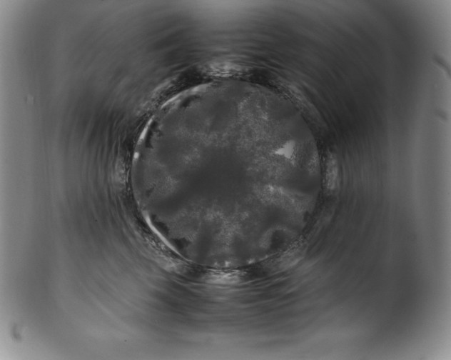 X0000100490569200806271239