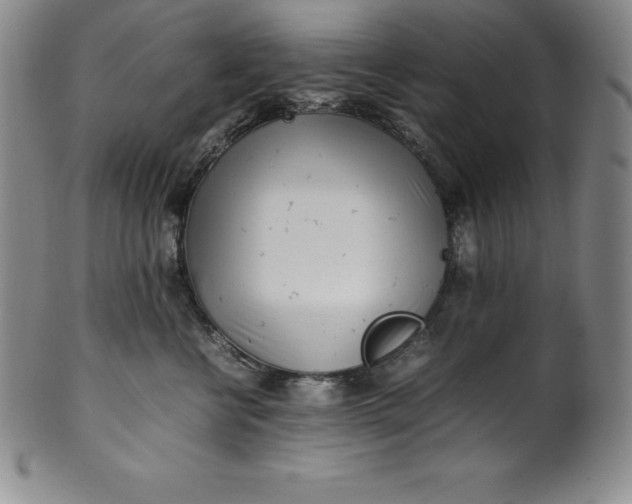 X0000100490570200806271239